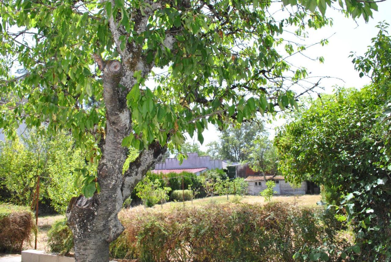 Willa Maison 6 Personnes - Grand Jardin Arbore Noyers-sur-Cher Zewnętrze zdjęcie